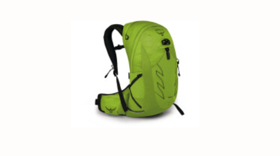 Fischadlerkralle 22 (1-083)